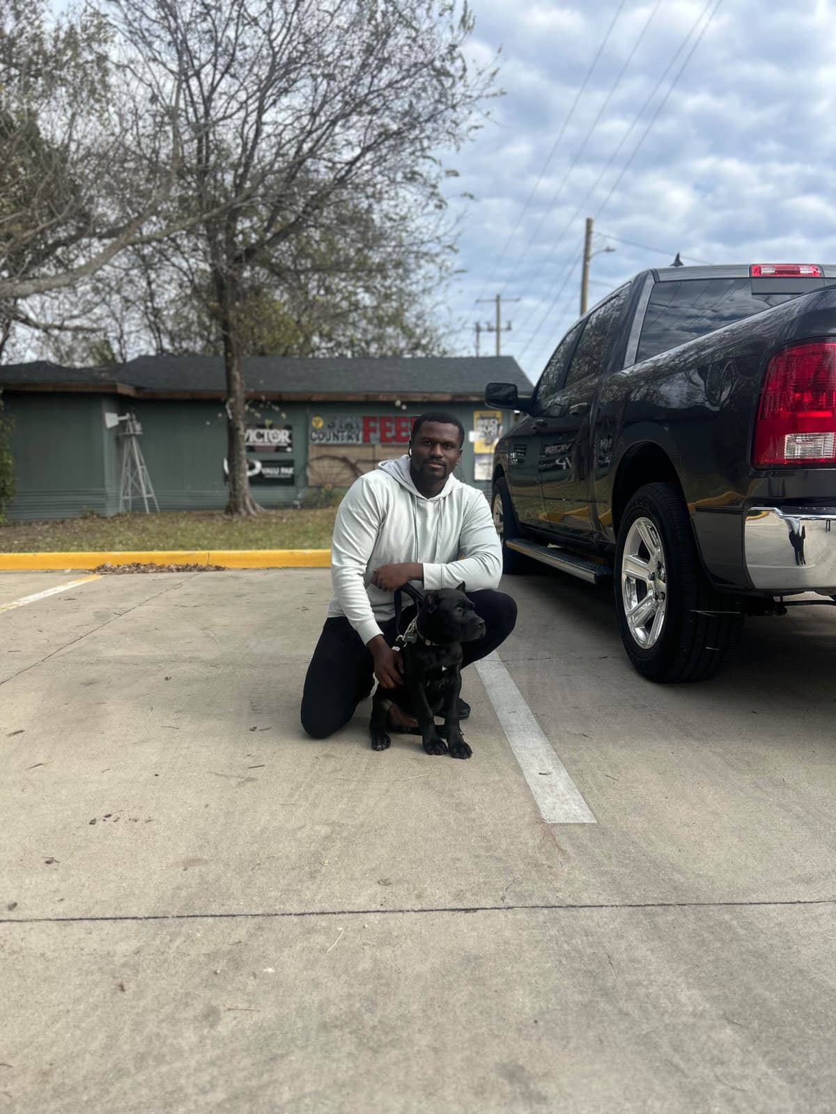 Cane Corso Puppies breeder image 29