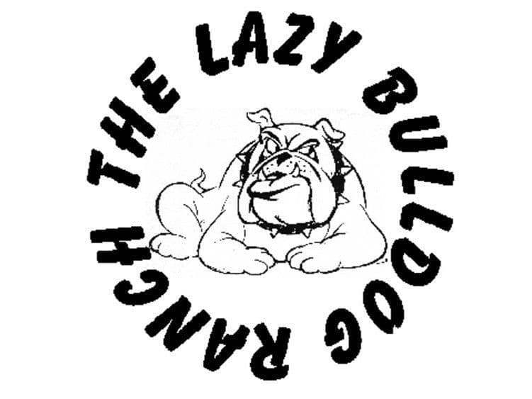 Bulldog Puppies on the SpaceCoast! breeder image 1