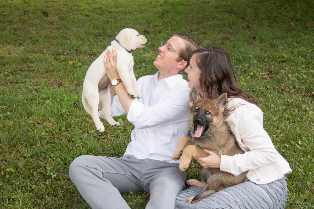 German Shepherd Dog Puppies breeder image 1