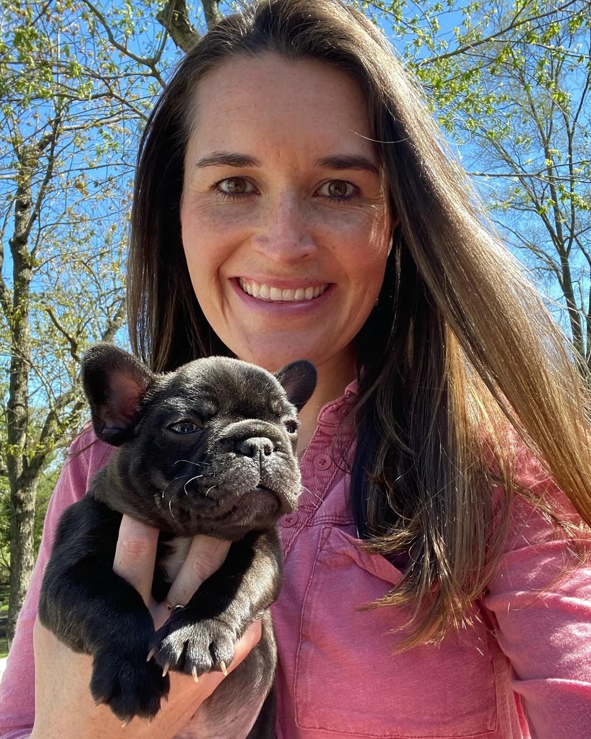 French Bulldog Puppies Available April 4th breeder image 1