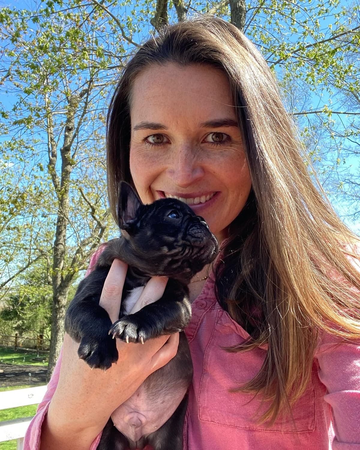 French Bulldog Puppies Available April 4th breeder image 3