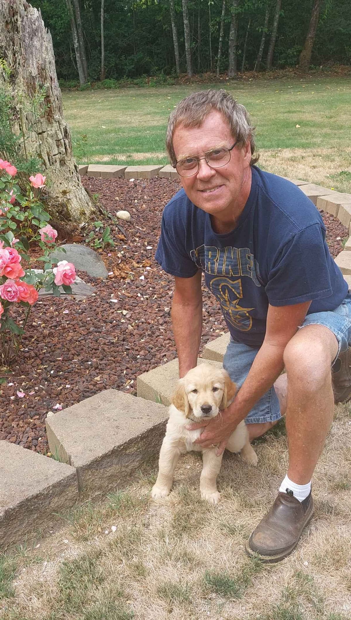 Golden Retriever Puppies breeder image 1