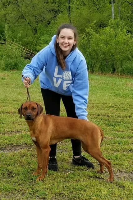Rhodesian Ridgeback Puppies breeder image 8