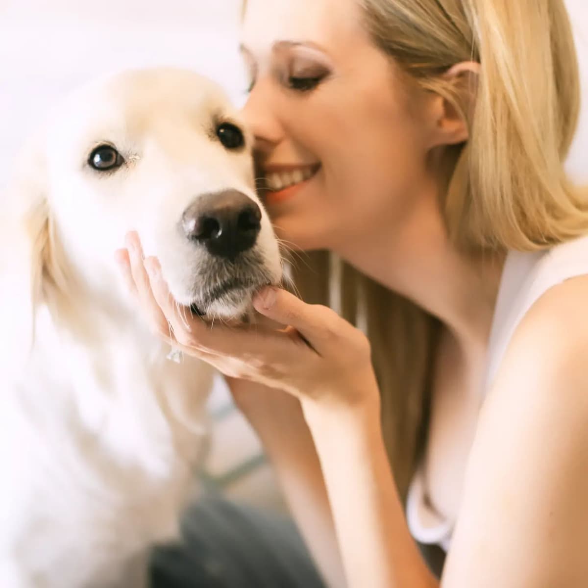 Penny, Golden Retriever Puppy breeder image 1