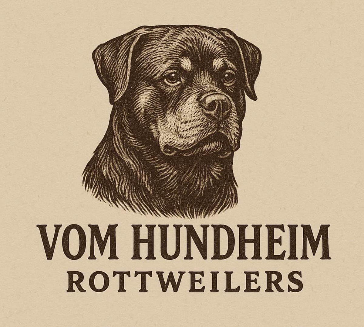 Rottweiler Puppies Ready June 19 breeder image 1