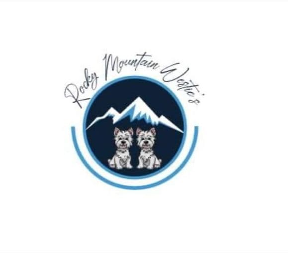 West Highland White Terrier Puppies breeder image 1