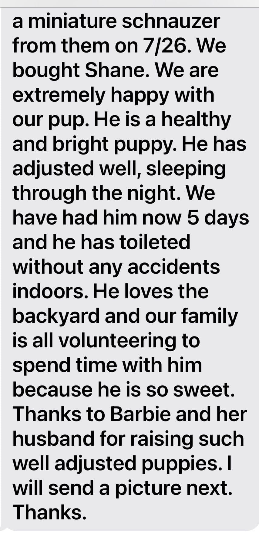 Tiny Toy Chocolate Poodle Puppies🐾❤️Crate/Potty Trained❤️5lb mom 6lb breeder image 9