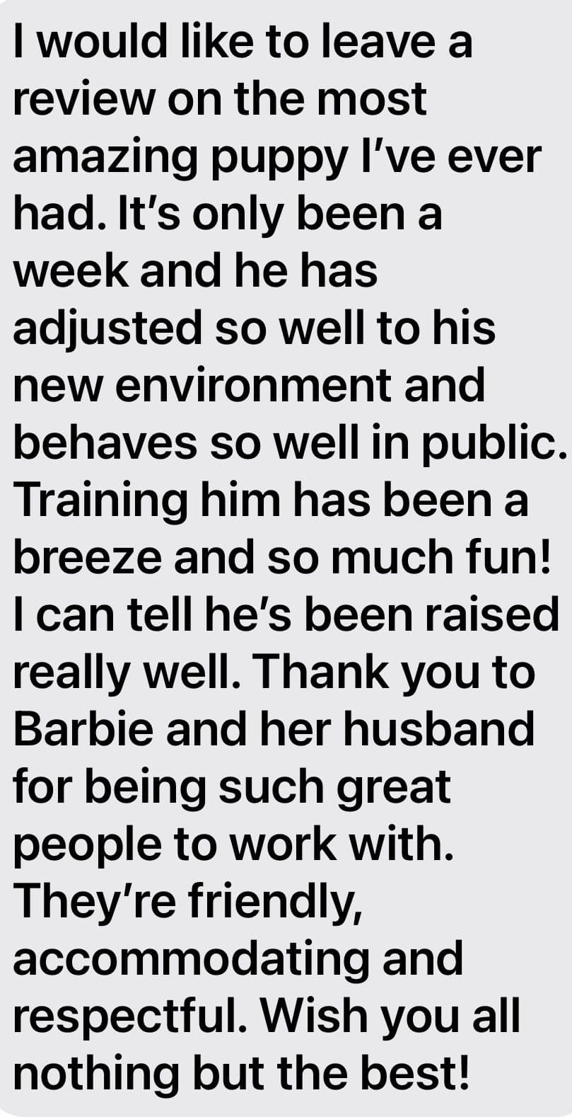 Tiny Toy Chocolate Poodle Puppies🐾❤️Crate/Potty Trained❤️5lb mom 6lb breeder image 16