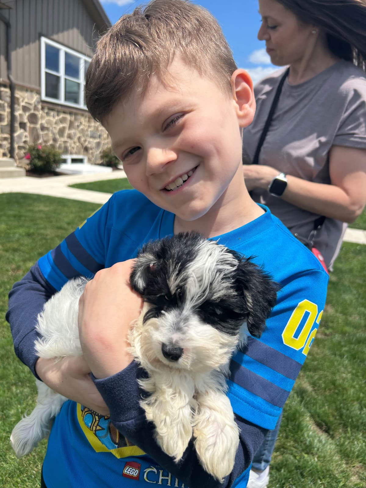 Tiny Toy Chocolate Poodle Puppies🐾❤️Crate/Potty Trained❤️5lb mom 6lb breeder image 21