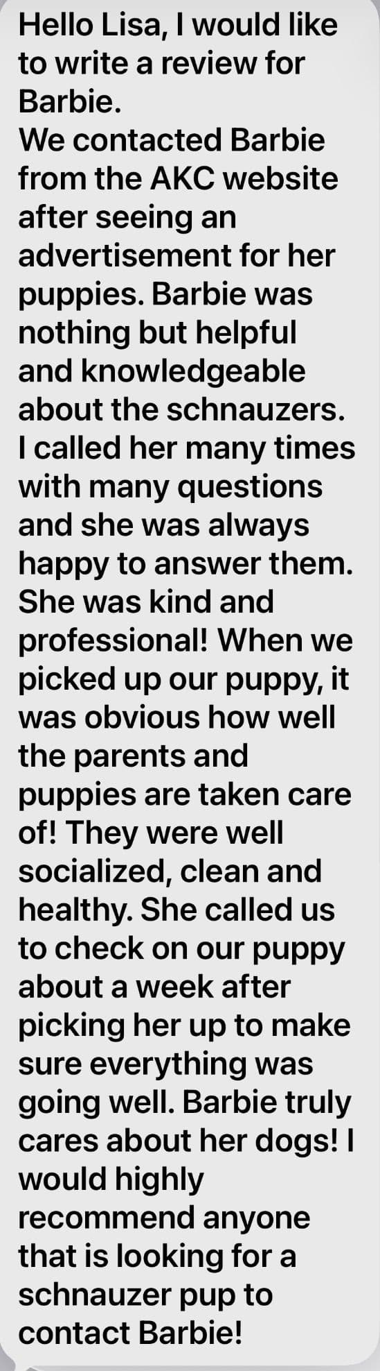 Tiny Toy Chocolate Poodle Puppies🐾❤️Crate/Potty Trained❤️5lb mom 6lb breeder image 23