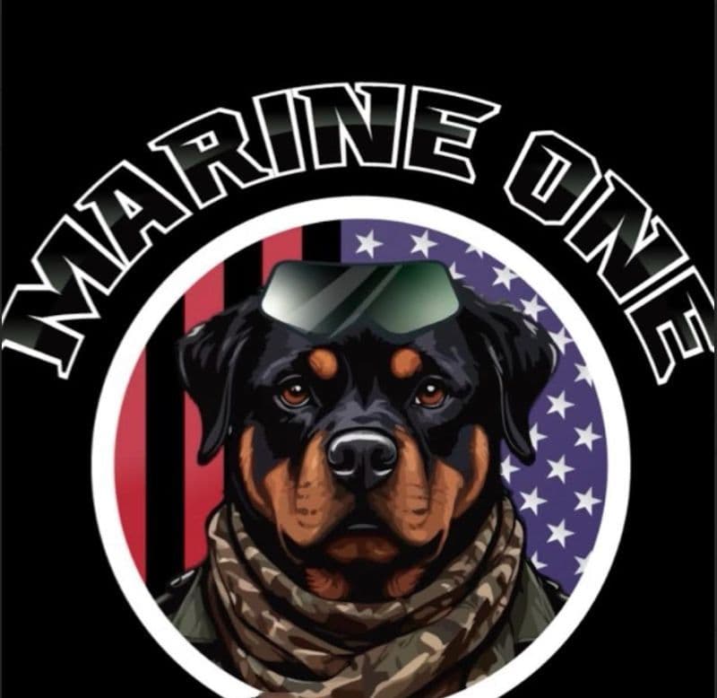 BEST MALE ROTTWEILERS PUP FIRST PICK AVAILABLE breeder image 1