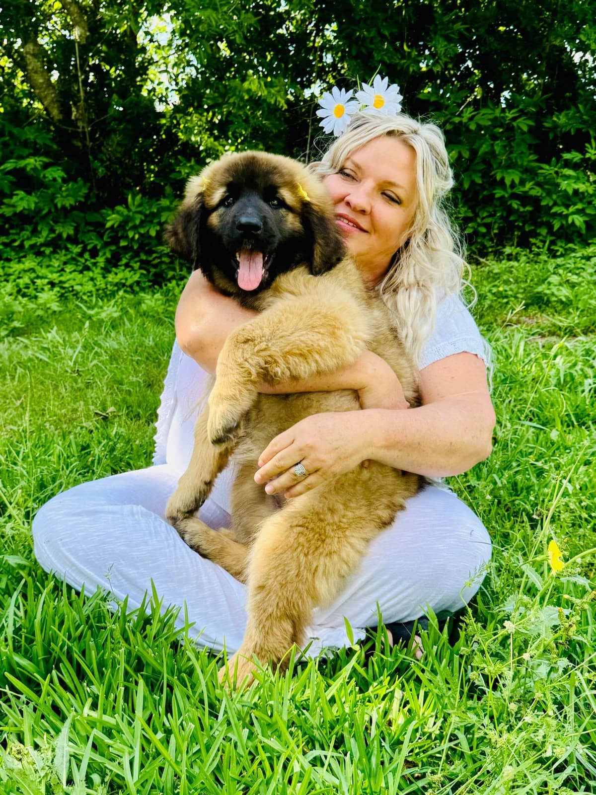 Leonberger Puppies breeder image 8