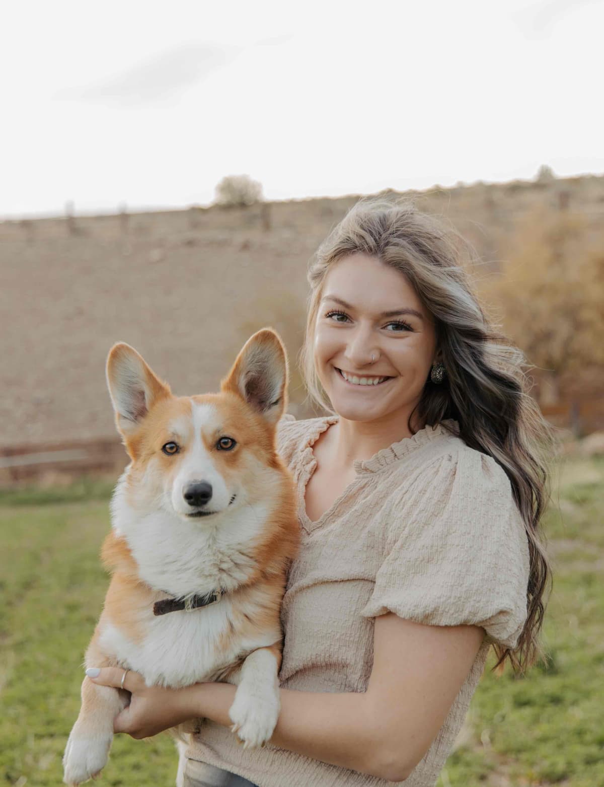 Pembroke Welsh Corgi Puppies breeder image 4