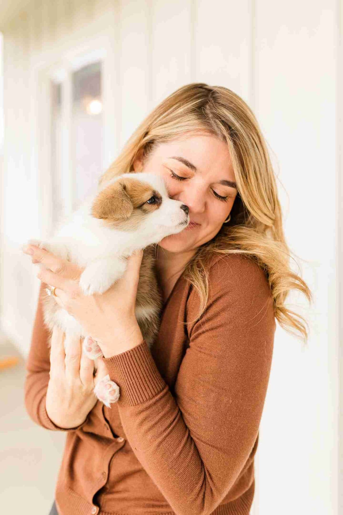 Pembroke Welsh Corgi Female Puppies breeder image 1