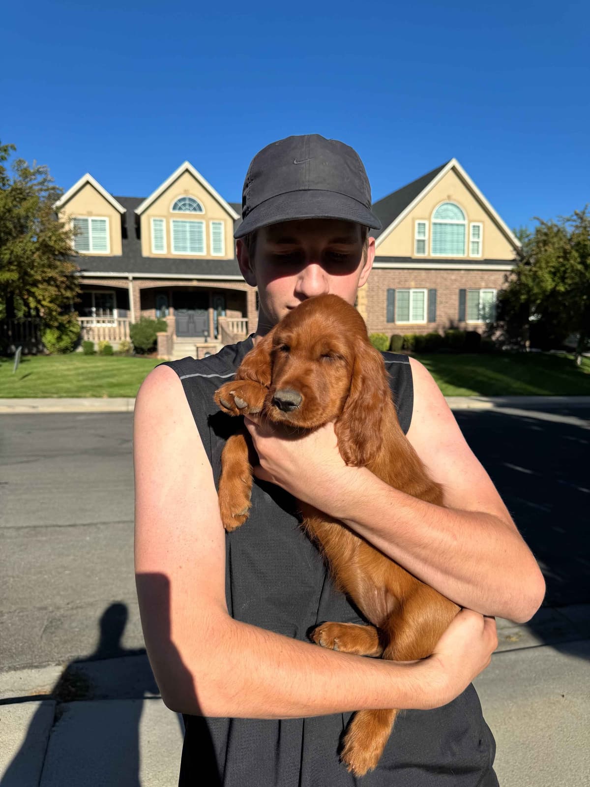 Irish Setter Puppies breeder image 9