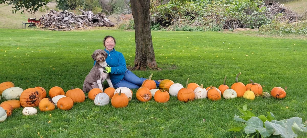 Portuguese Water Dog Puppies breeder image 2
