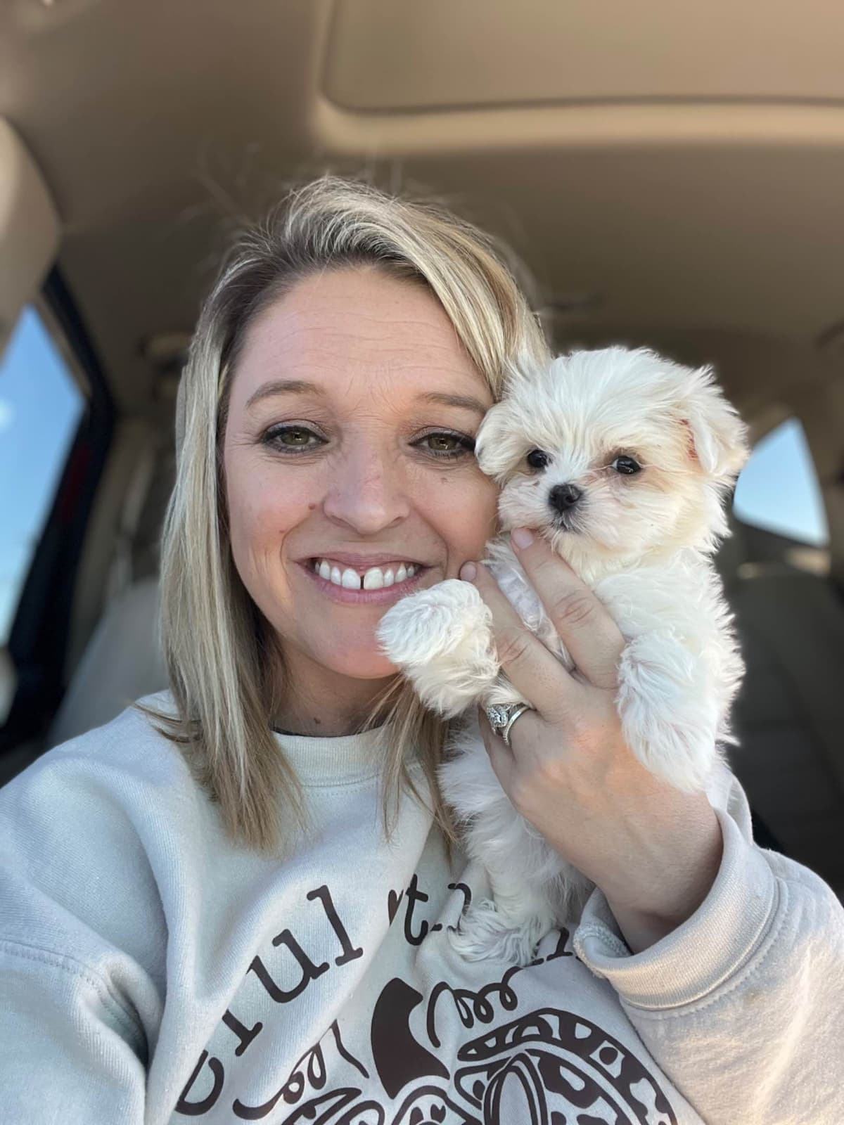 AKC standard Maltese breeder image 1