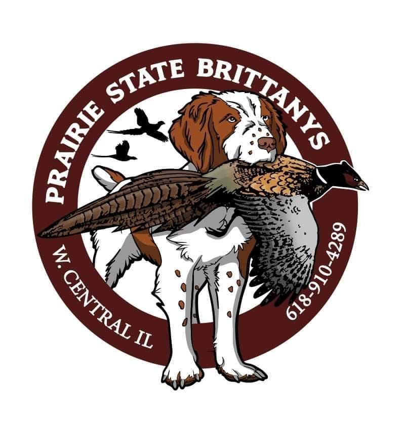 Brittany Puppies breeder image 1