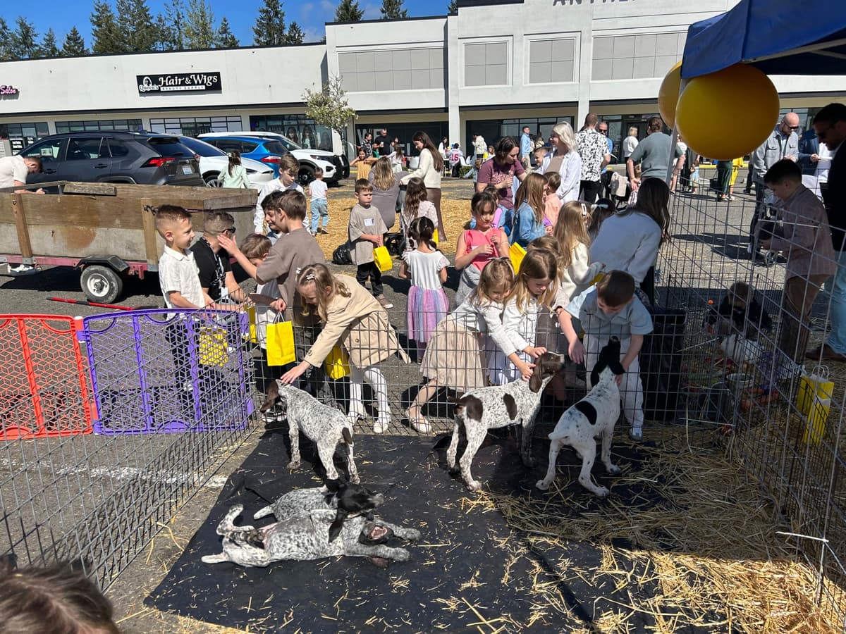 German Shorthaired Pointer Puppies breeder image 17