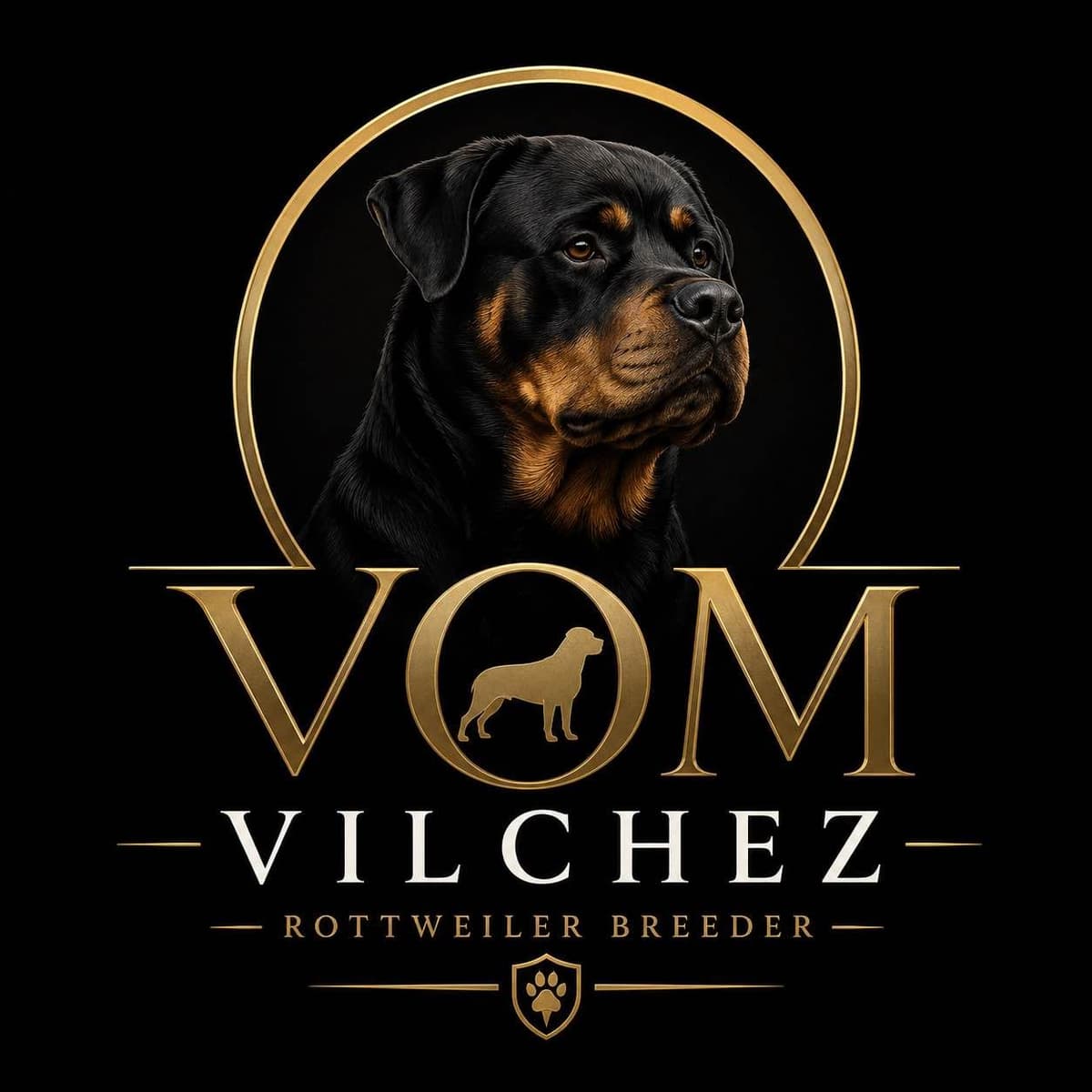Rottweiler Puppies breeder image 1