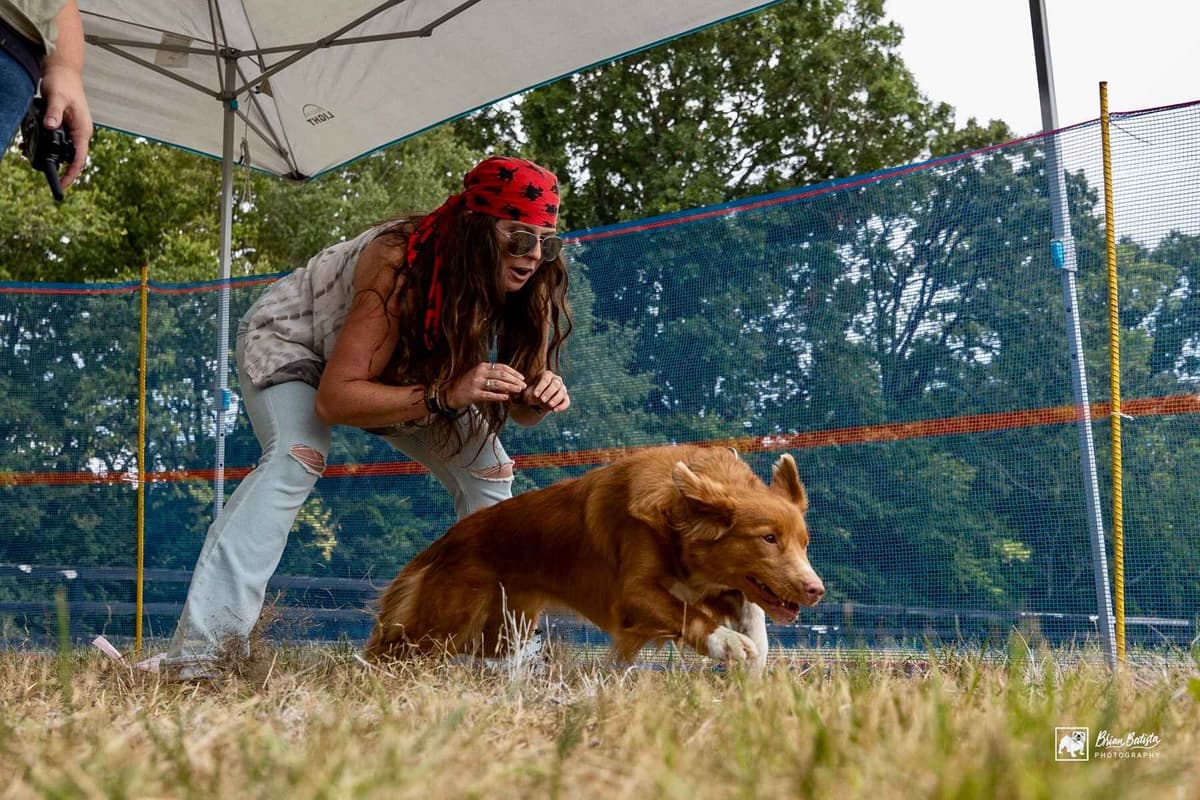 The "Bourbon Boys" (Nova Scotia Duck Tolling Retriever Puppies) breeder image 4