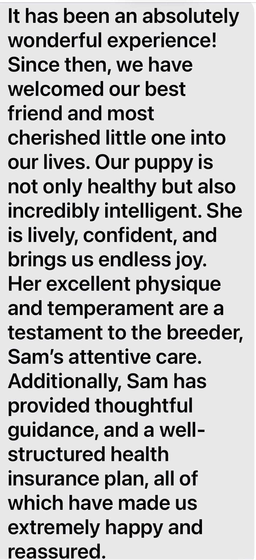 Genetic Tested❤️🐾Cocker Spaniel Puppies❤️Text or call 717-319-4781 breeder image 7