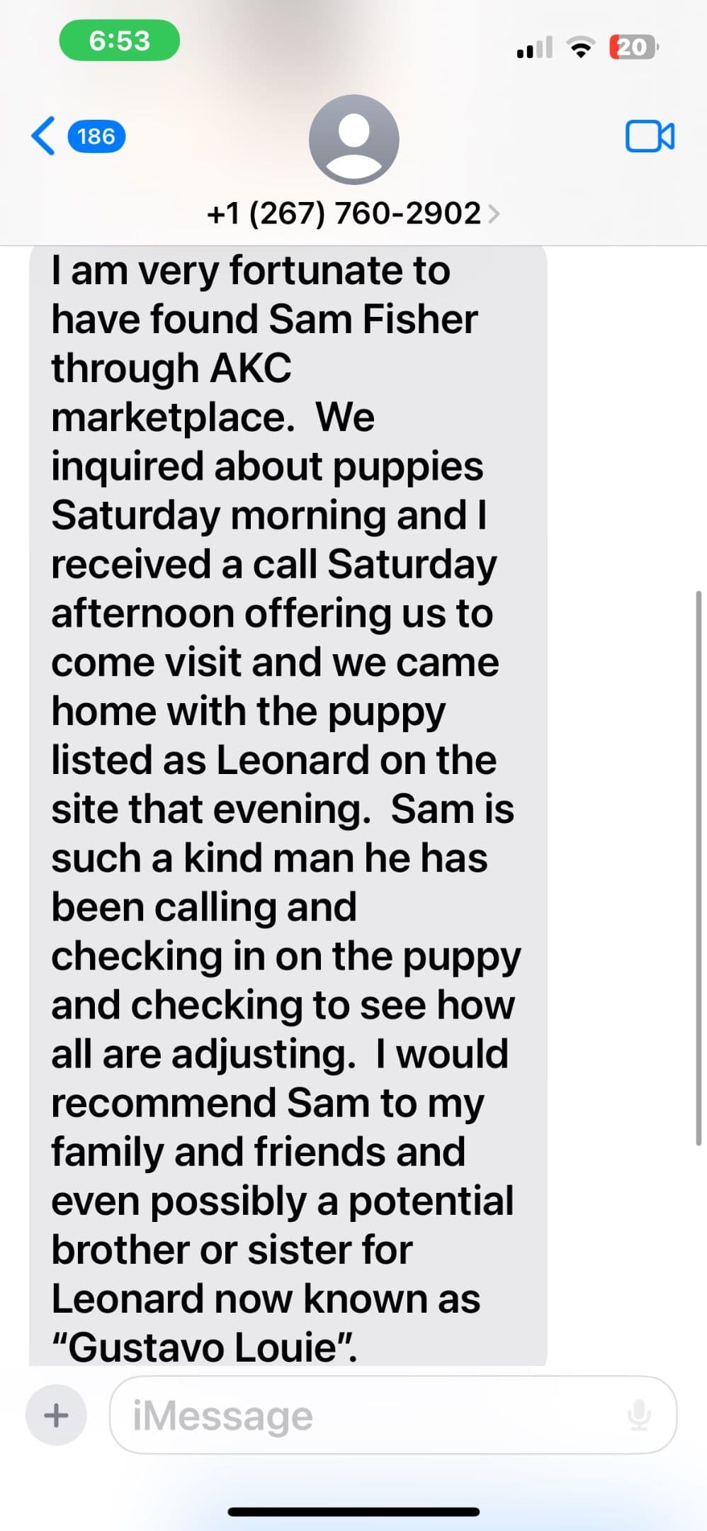 Genetic Tested❤️🐾Cocker Spaniel Puppies❤️Text or call 717-319-4781 breeder image 10