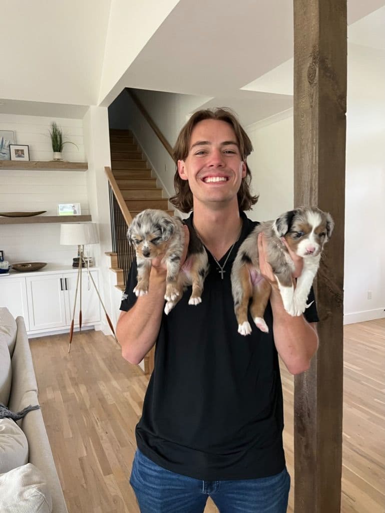 Miniature American Shepherd Puppies breeder image 10