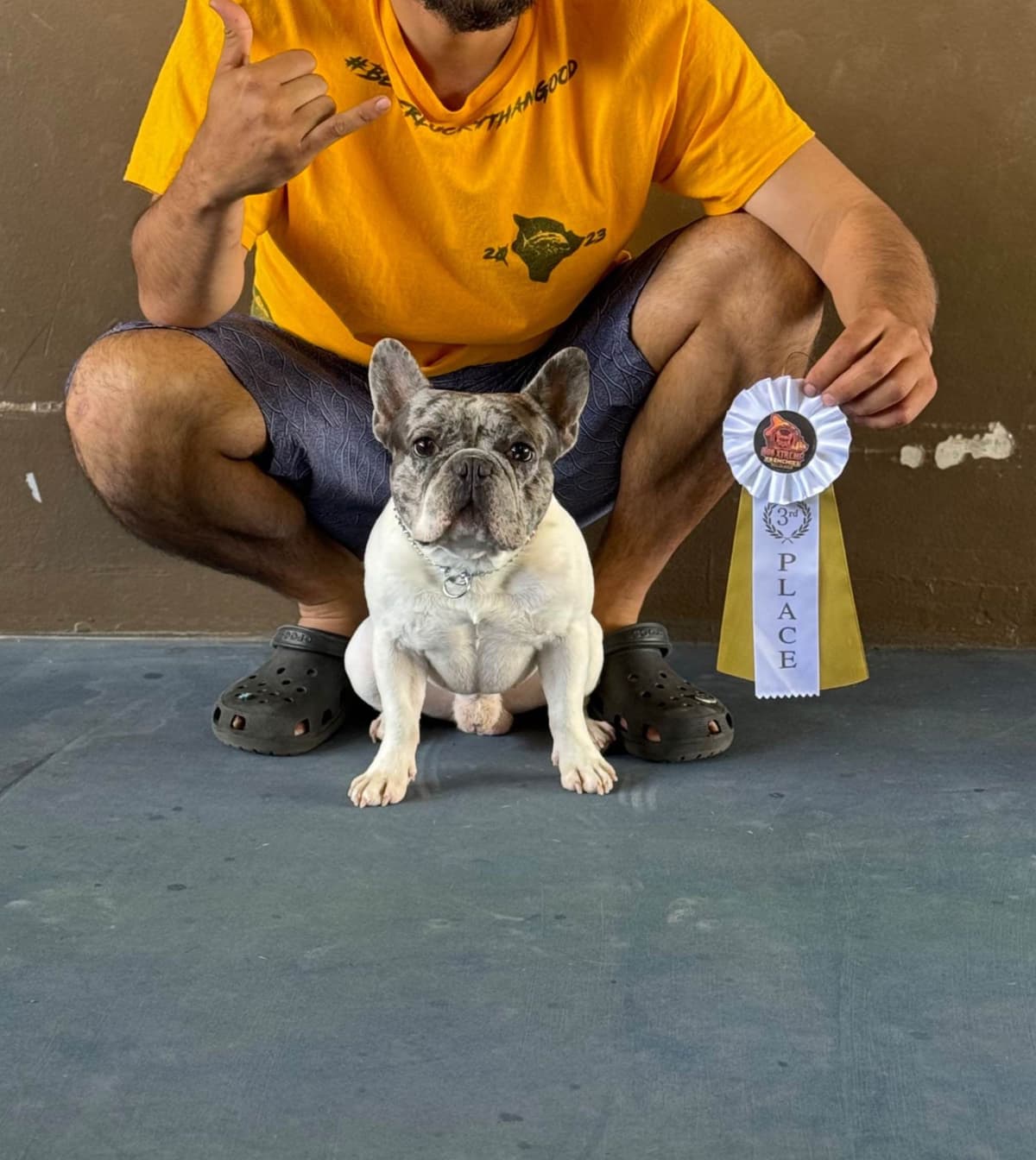 French Bulldog Puppies breeder image 8