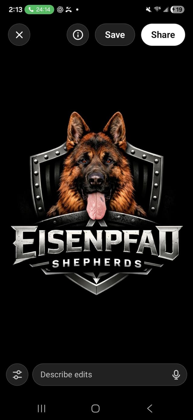 EISENPFAD German shepherd puppies media 5
