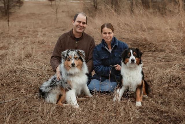 Australian Shepherd Puppies media 17