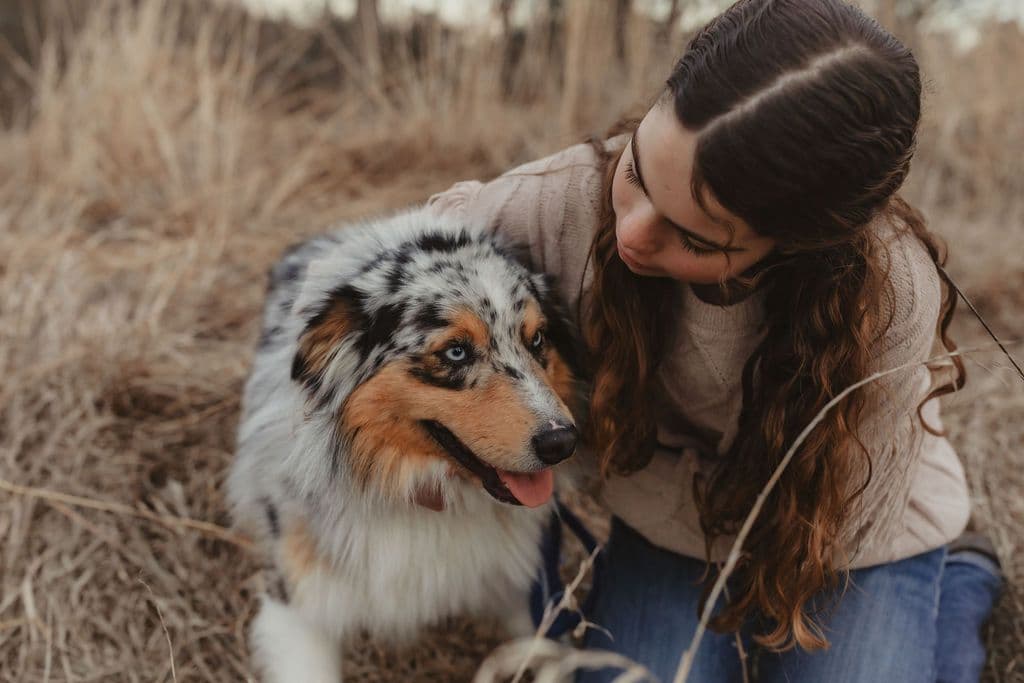 Australian Shepherd Puppies breeder image 1