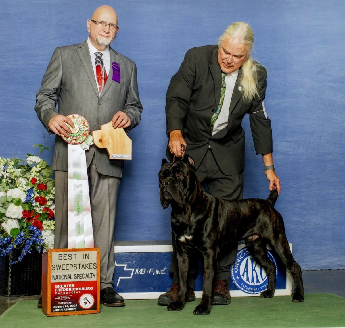Grand Champion Sired 2 smooth Chow Chow Puppies Available breeder image 22