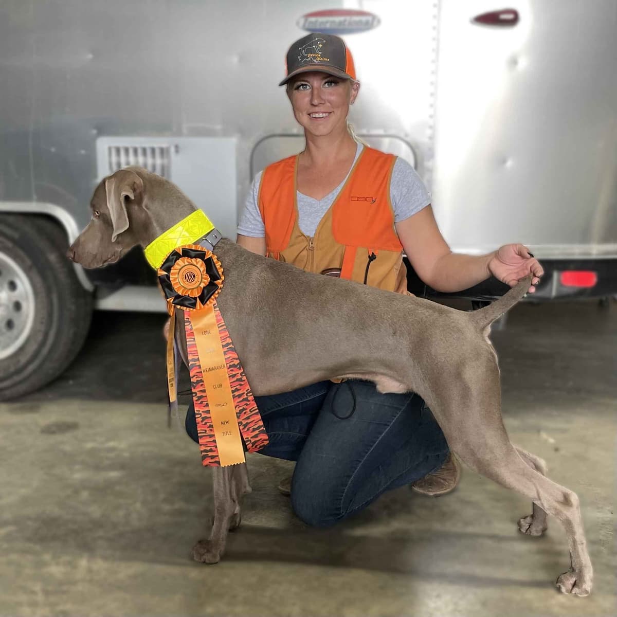 Weimaraner Puppies breeder image 9