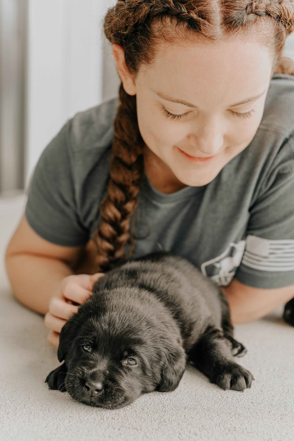 Champion English Labrador Puppies breeder image 16