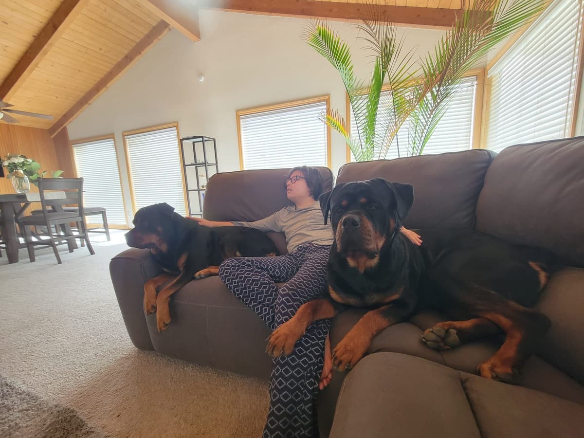 Exceptionally Sweet & Beautiful Rottweiler Puppies breeder image 9