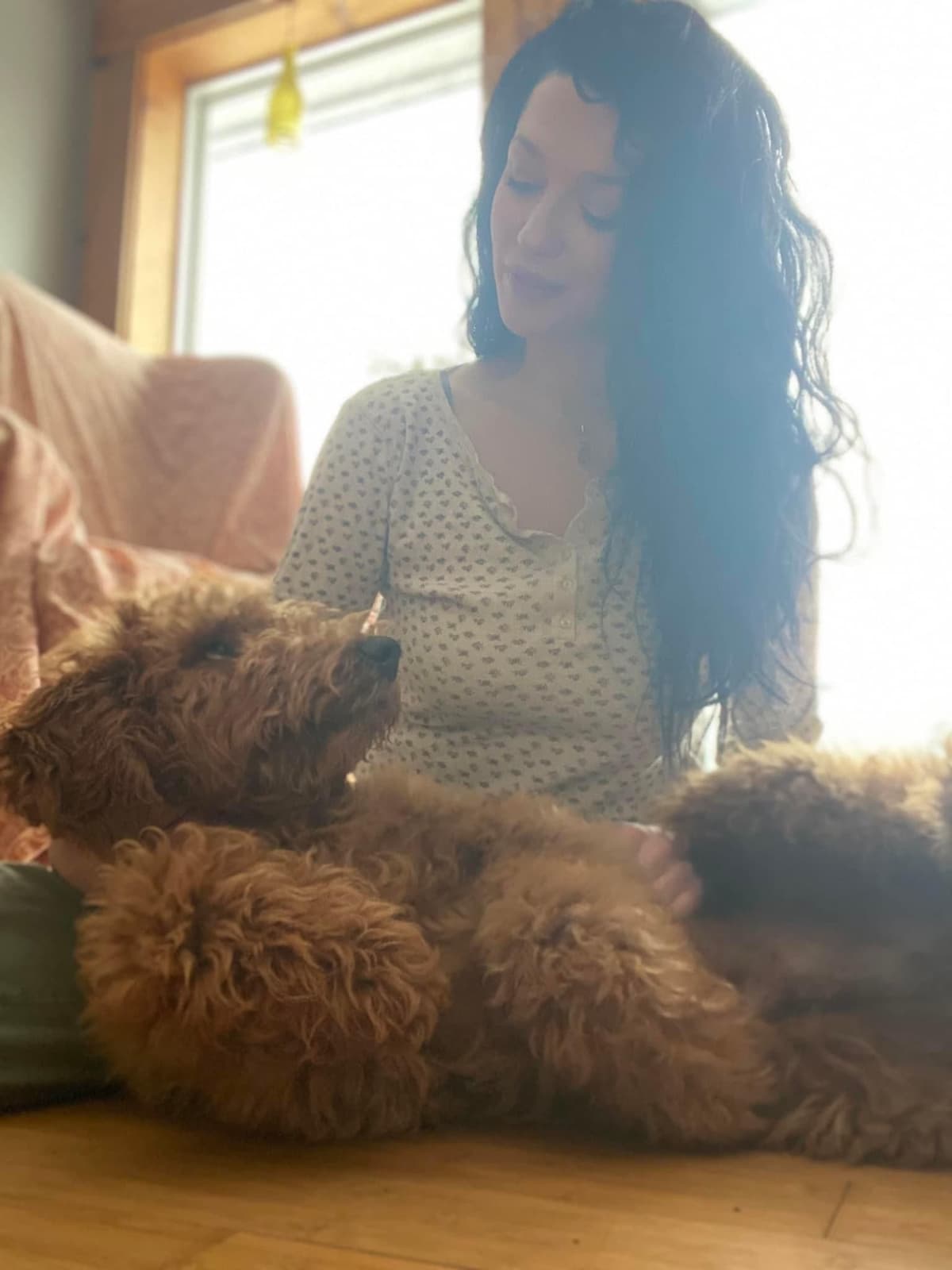 Standard Poodle Puppies breeder image 1