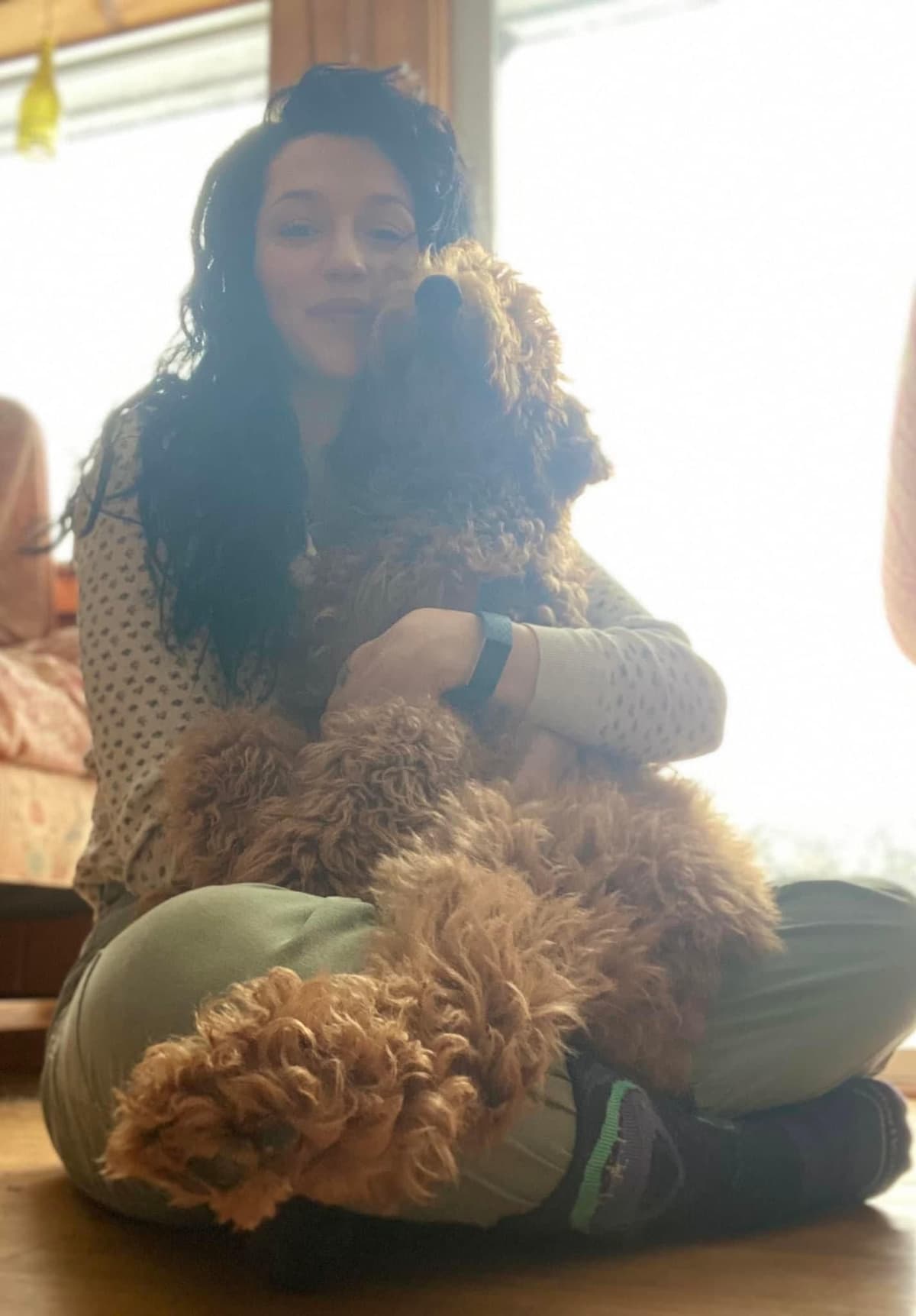 Standard Poodle Puppies breeder image 18