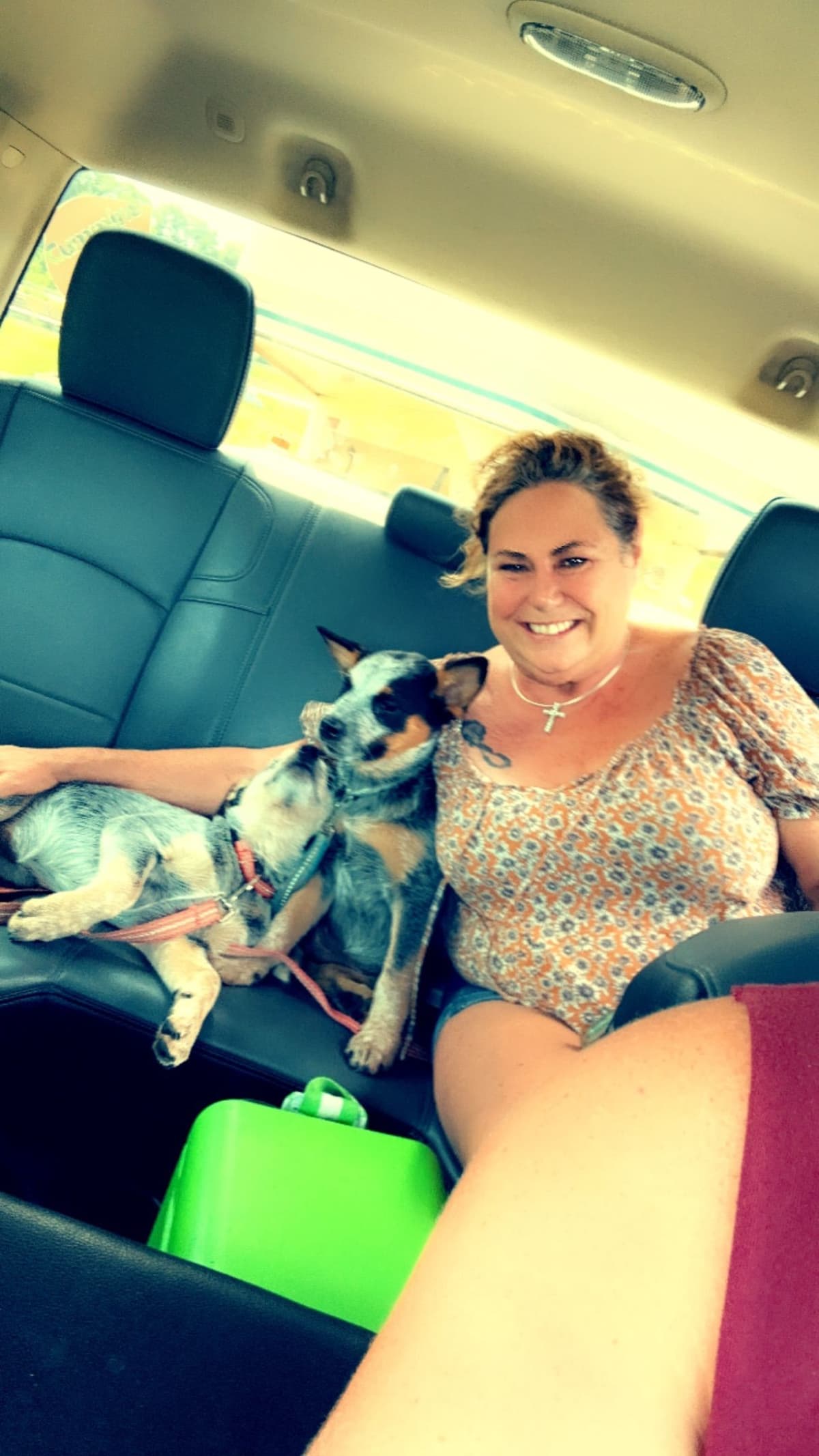 Australian Cattle Dog Puppies breeder image 7