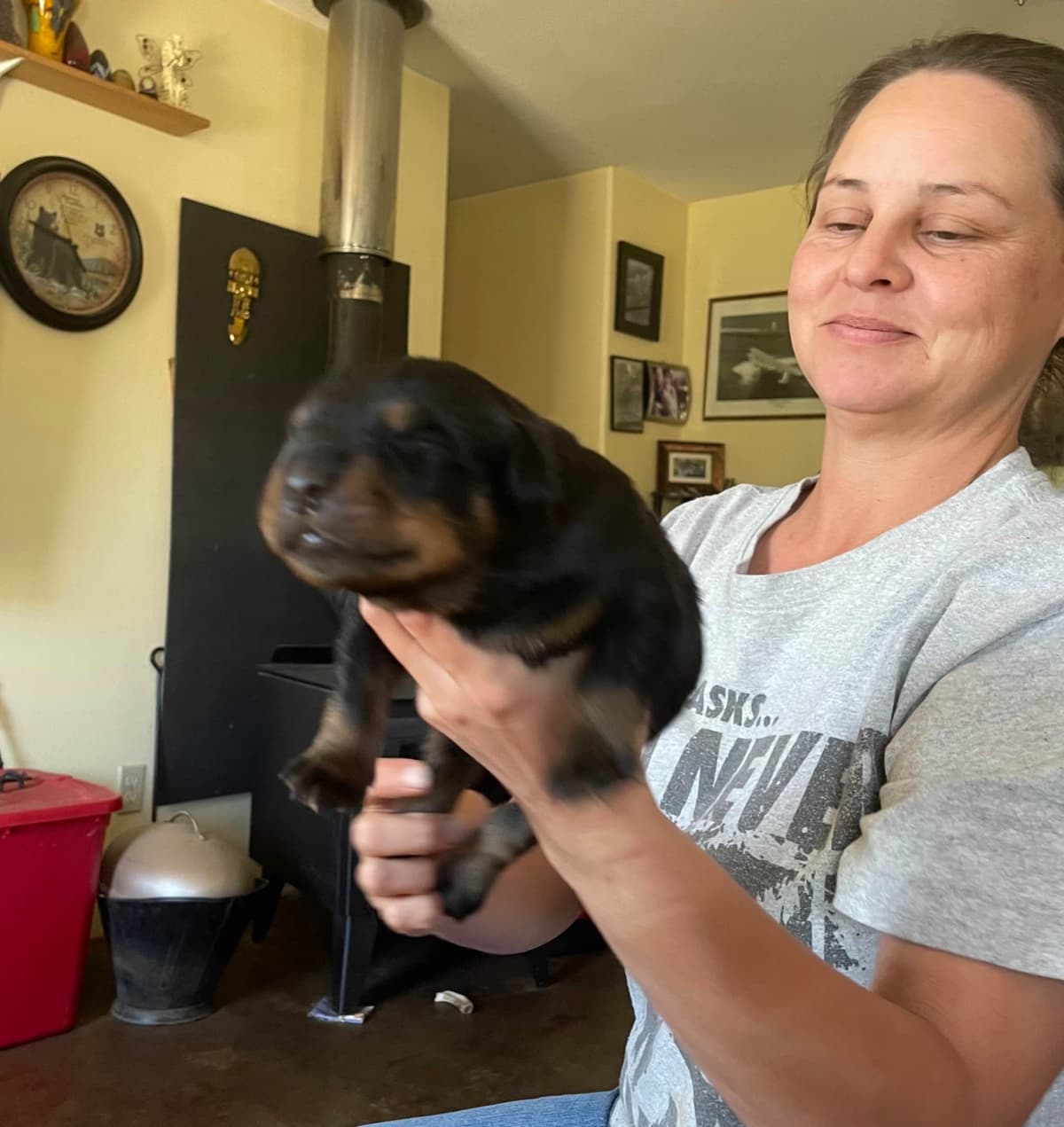Rottweiler Puppies breeder image 1
