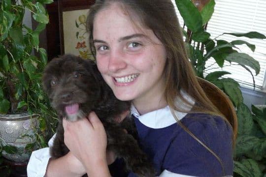 Maltese Puppies breeder image 9