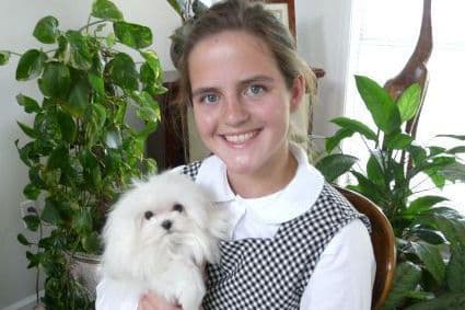 Maltese Puppies breeder image 8