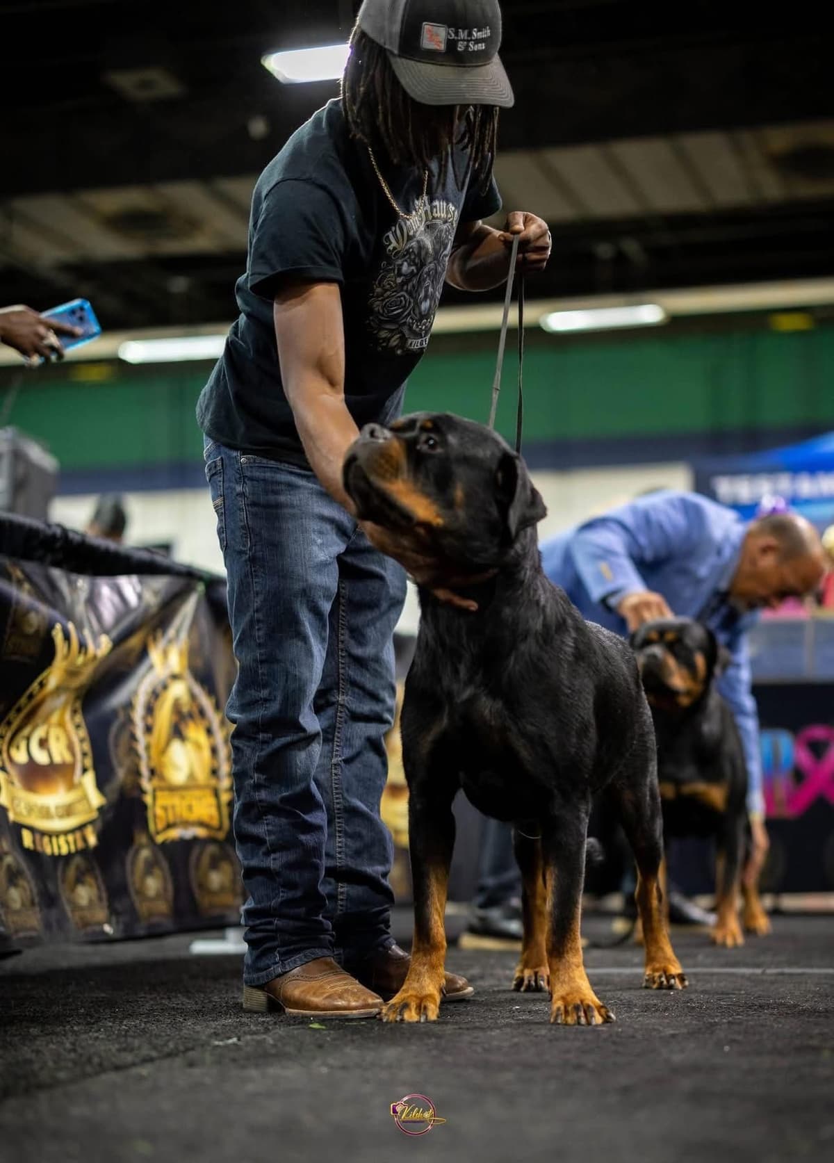 Rottweiler Puppies breeder image 19