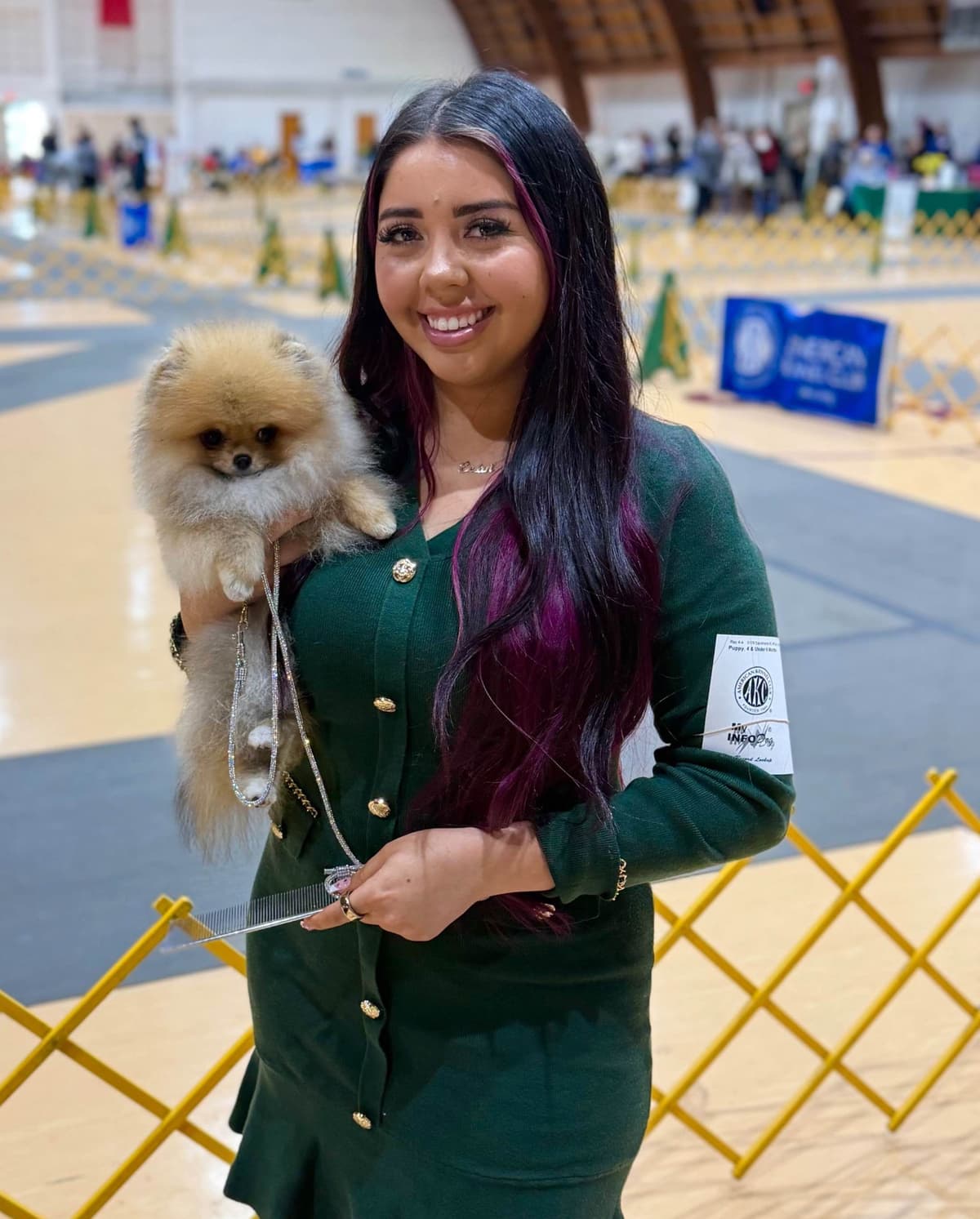 White/Cream Pomeranian Puppies breeder image 4