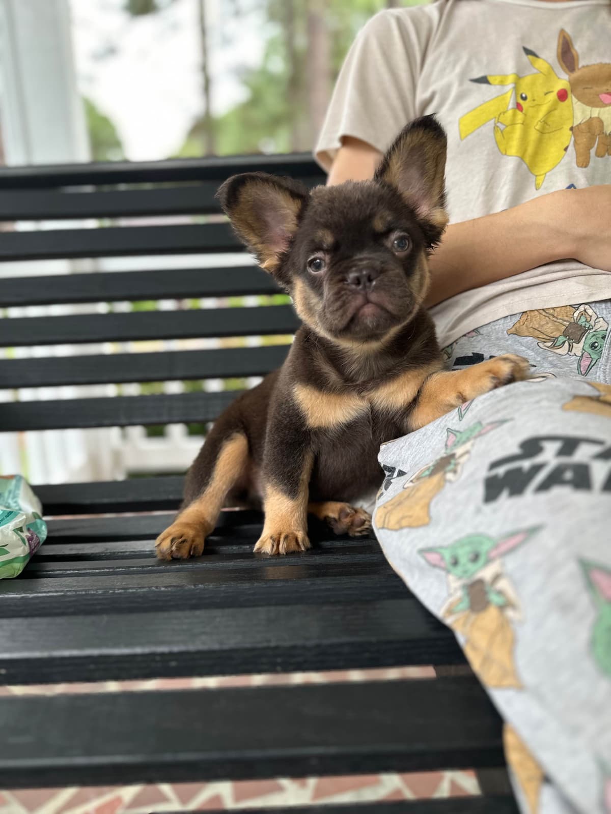 French Bulldog Puppies breeder image 11