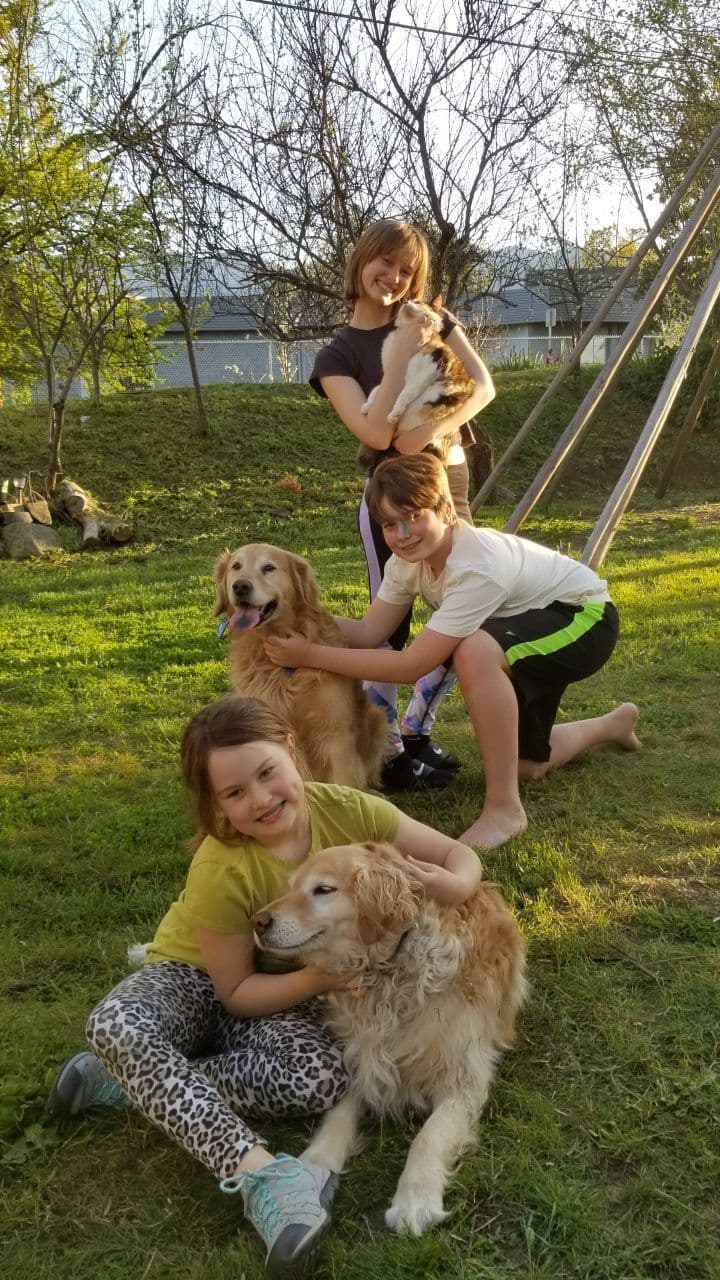 Golden Retriever Puppies Ready for Summer fun 5/25/2026 breeder image 4