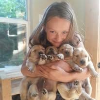 Golden Retriever Puppies Ready for Summer fun 5/25/2026 breeder image 1