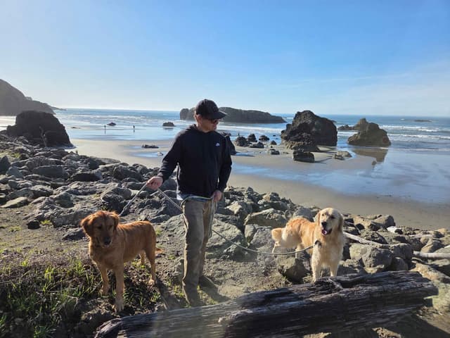 Golden Retriever Puppies Ready for Summer fun 5/25/2026 media 12