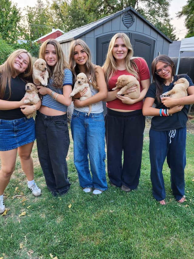 Golden Retriever Puppies Ready for Summer fun 5/25/2026 media 15
