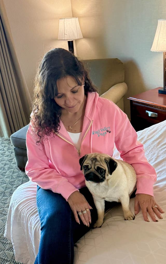 Champion bloodline beautiful Pug Puppies media 3